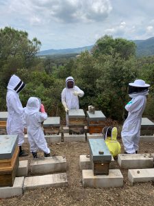 ecologische imker met honingbij