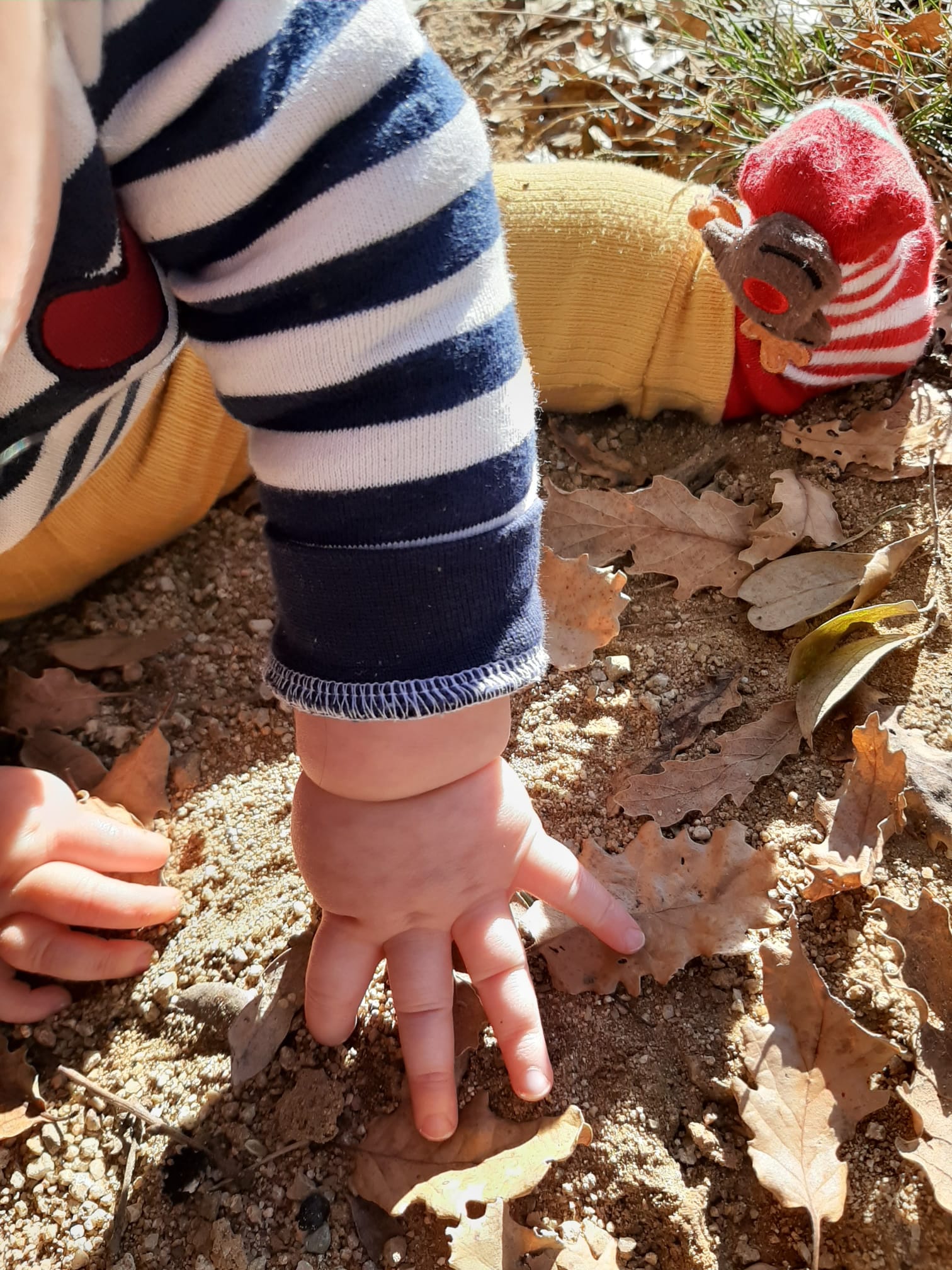 Montessori kind met handen in de natuur
