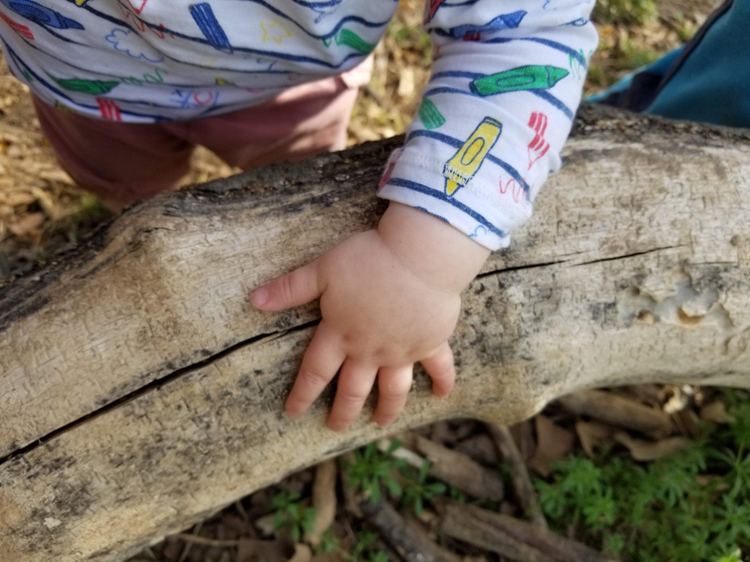 Montessori kind in natuur
